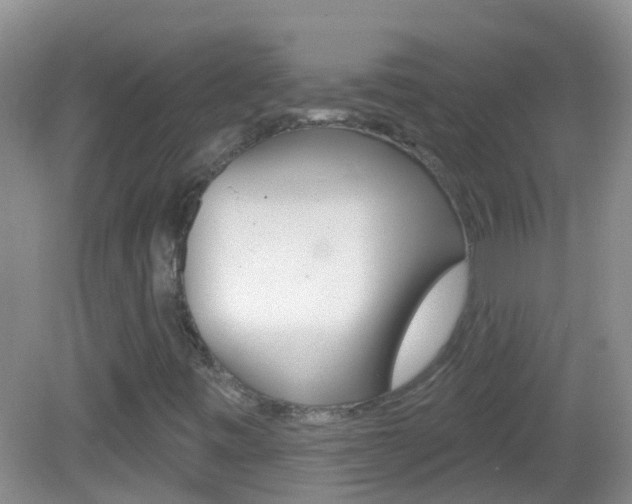X0000082931443200702011034