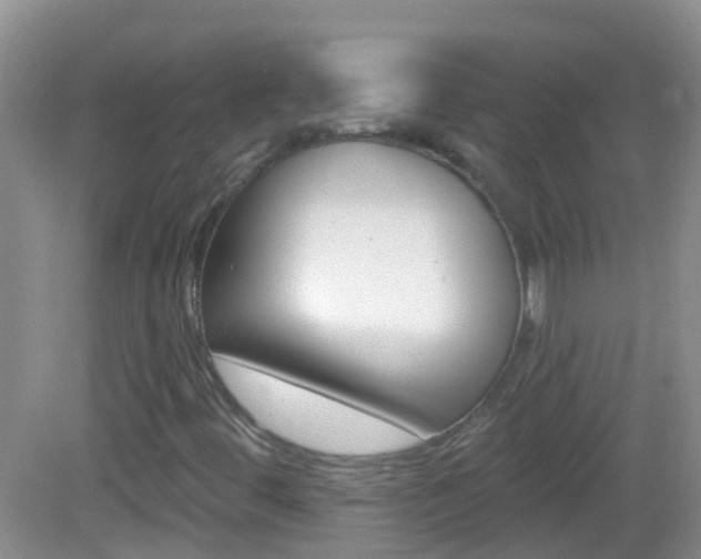 X0000082931444200702011034