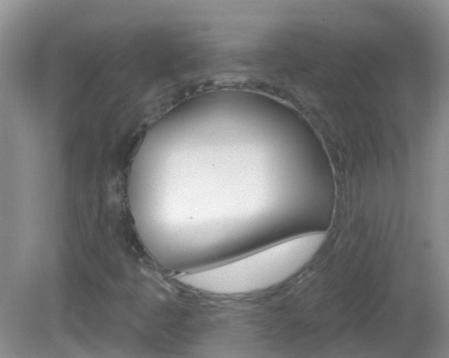 X0000082931445200702011034