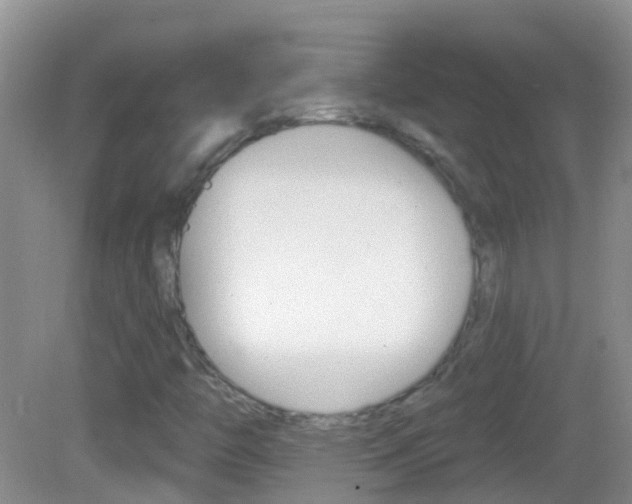 X0000082931446200702011034