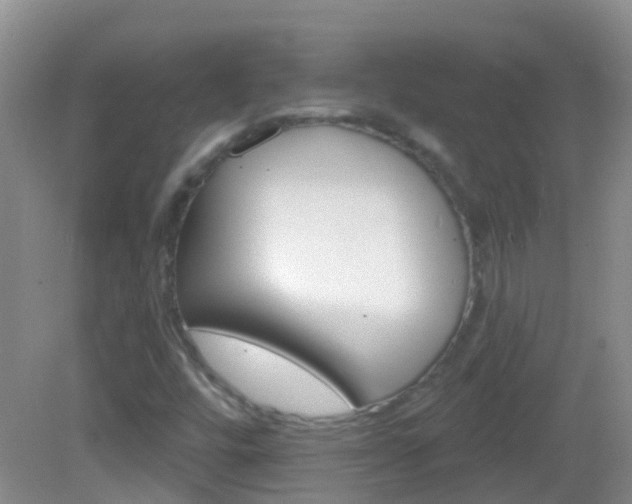 X0000082931448200702011034