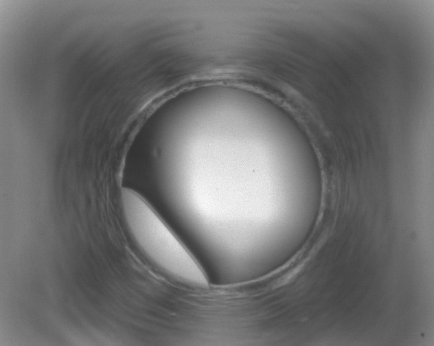 X0000082931449200702011034