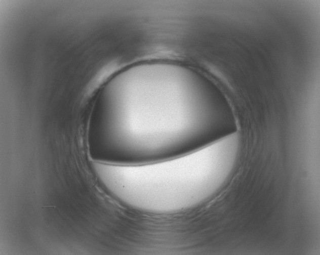 X0000082931455200702011034