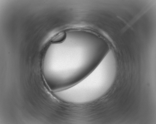 X0000082931456200702011034