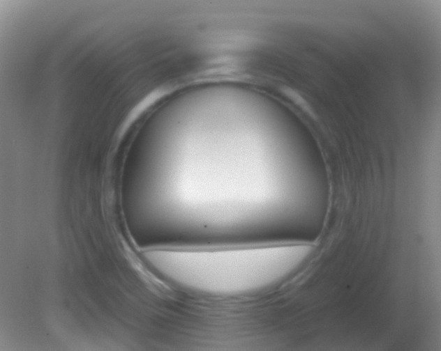X0000082931458200702011033