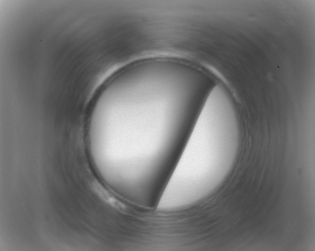 X0000082931460200702011033