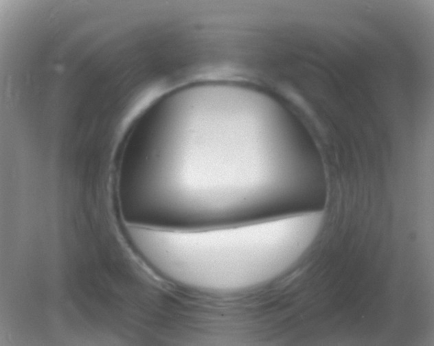 X0000082931463200702011033