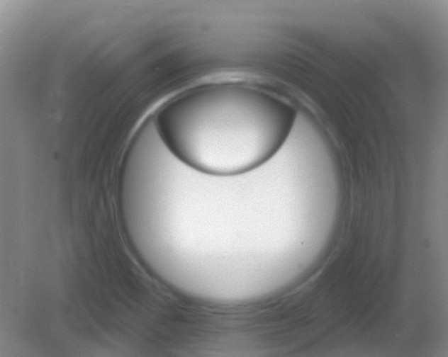 X0000082931465200702011033