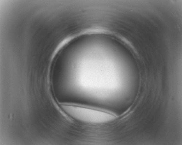 X0000082931469200702011033