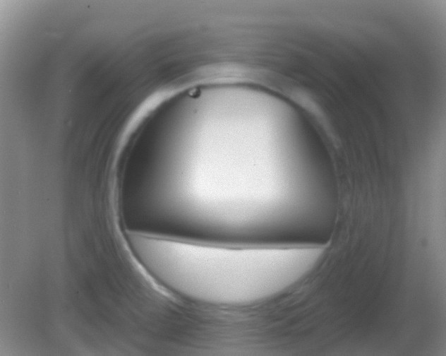 X0000082931472200702011033