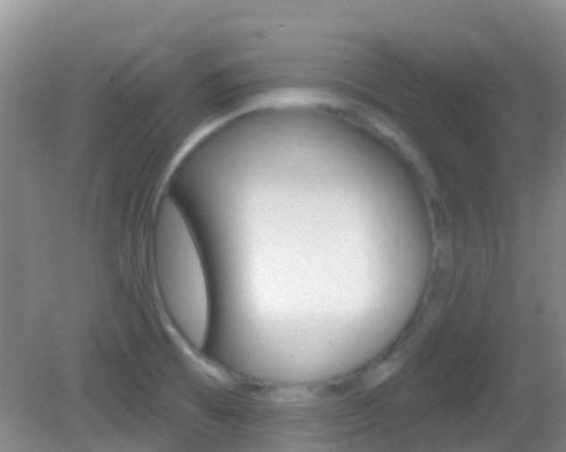 X0000082931473200702011033