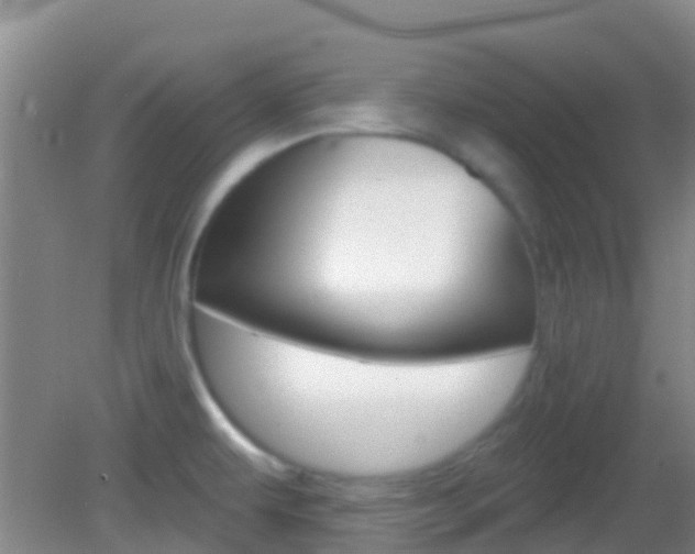 X0000082931479200702011033