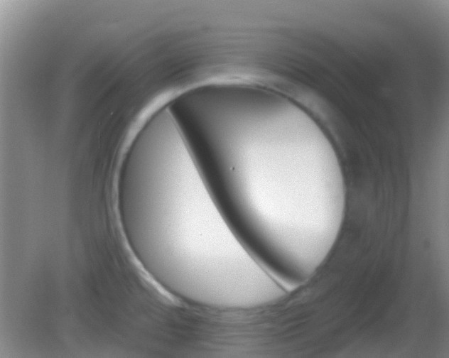 X0000082931480200702011033