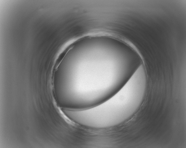 X0000082931485200702011033