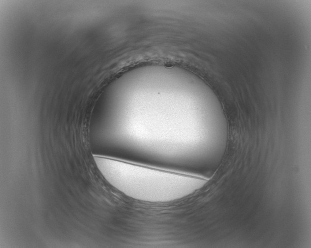 X0000082931490200702011032