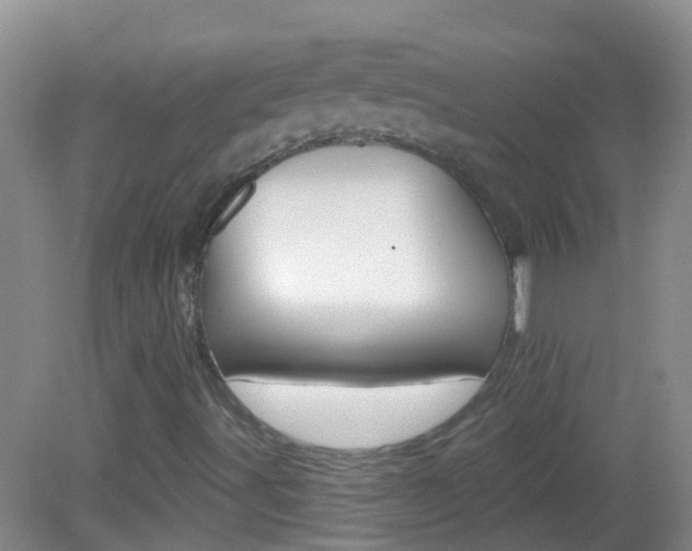 X0000082931491200702011032
