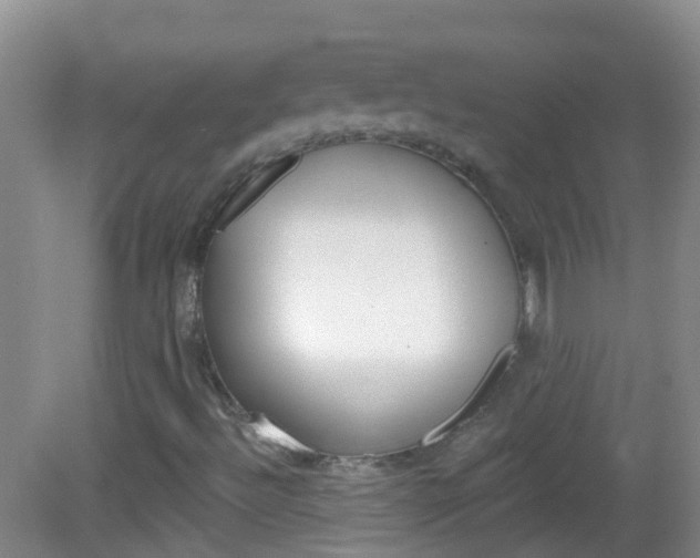 X0000082931492200702011032
