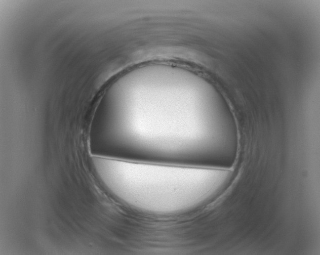 X0000082931497200702011032