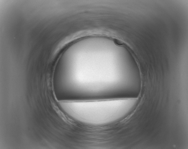 X0000082931499200702011032