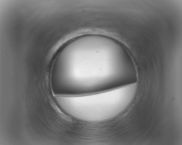 X0000082931503200702011032