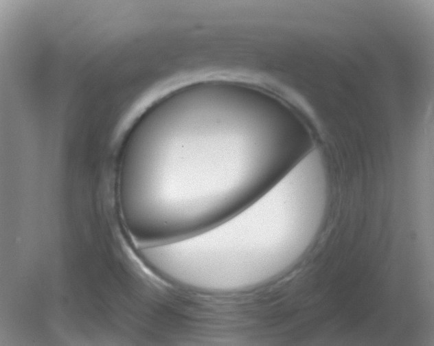 X0000082931504200702011032