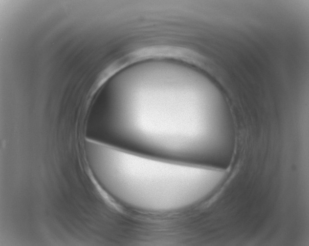 X0000082931521200702011033