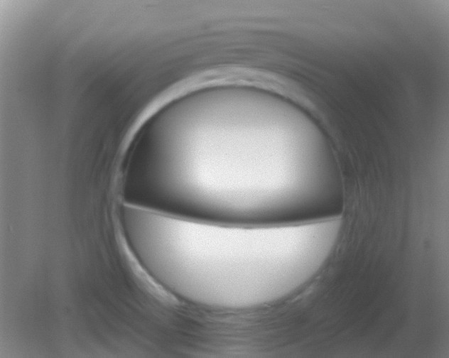 X0000082931522200702011033