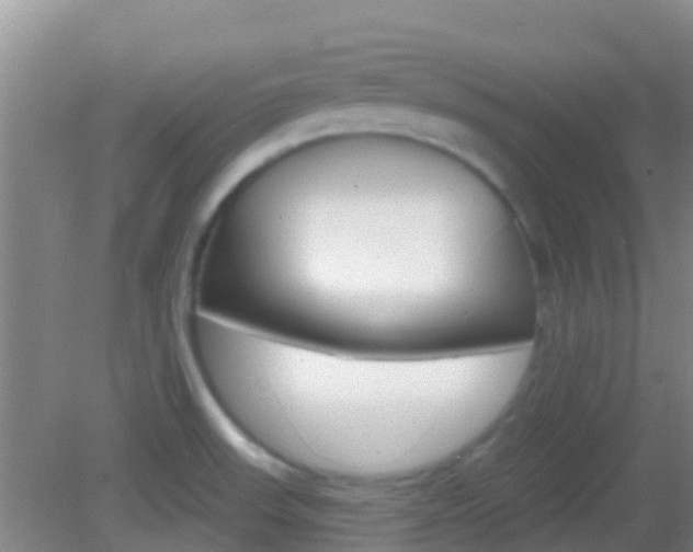 X0000082931523200702011033