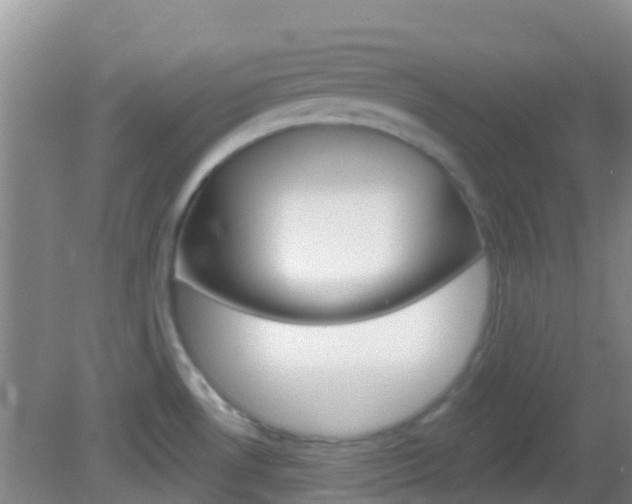 X0000082931530200702011033