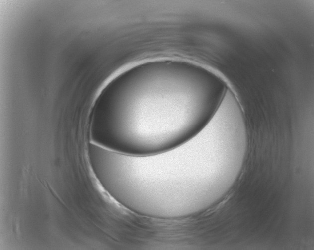 X0000082931534200702011033
