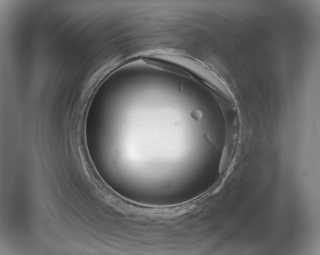 X0000082930001200702011252