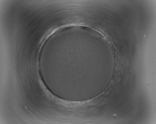 X0000082930002200702011252