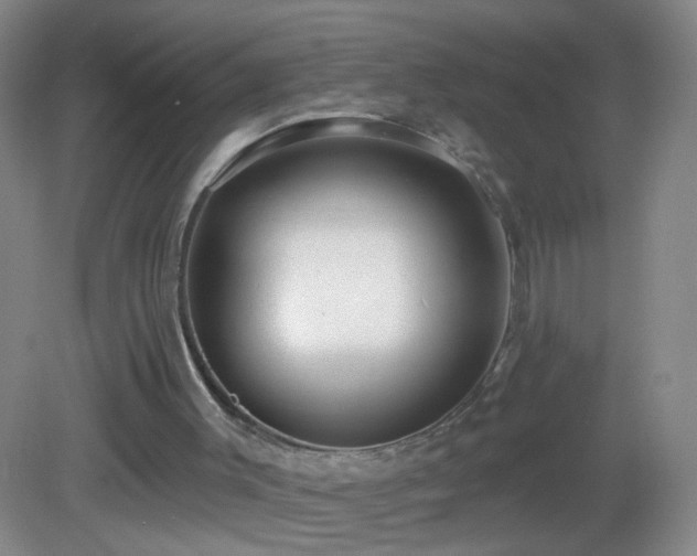 X0000082930003200702011252