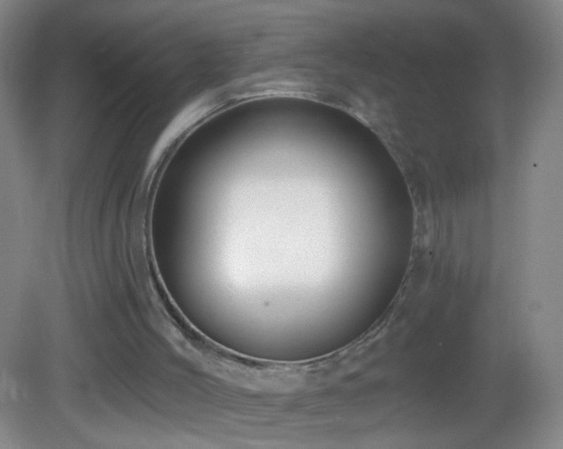 X0000082930004200702011252