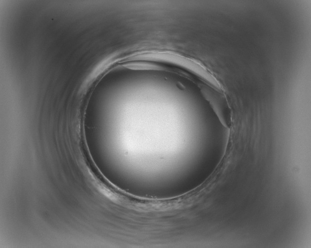 X0000082930005200702011252