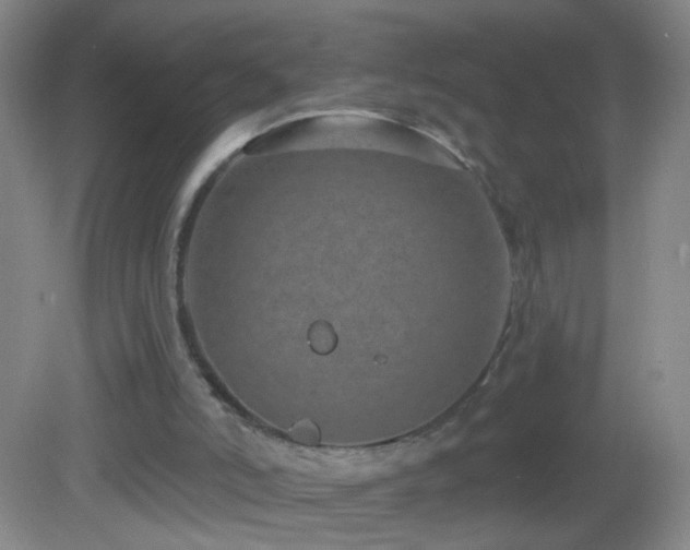 X0000082930006200702011252