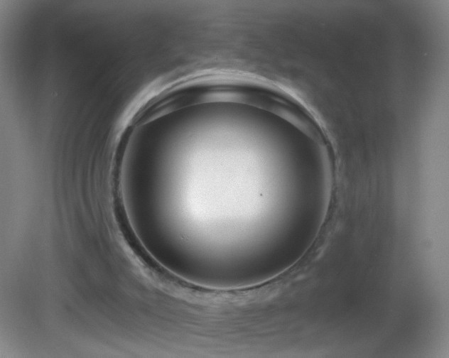 X0000082930007200702011252