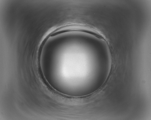 X0000082930008200702011252