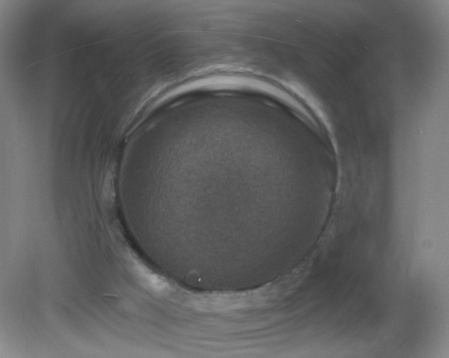 X0000082930009200702011252