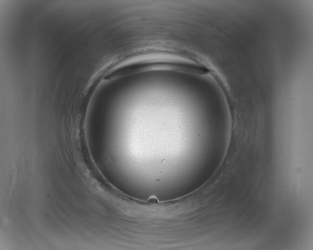 X0000082930010200702011252