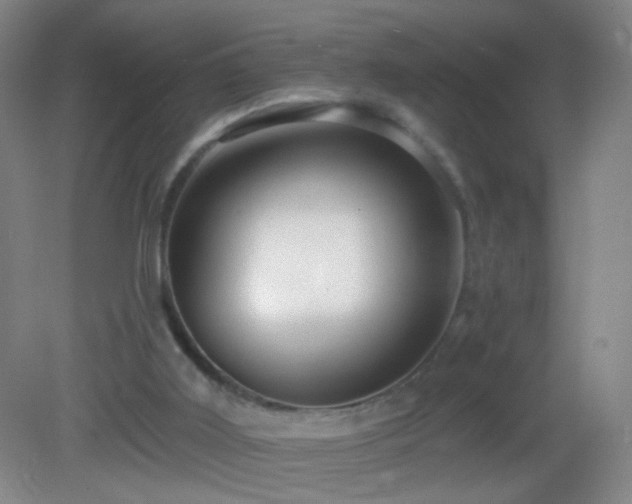 X0000082930011200702011252