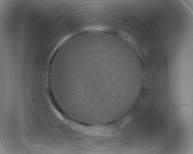 X0000082930012200702011252