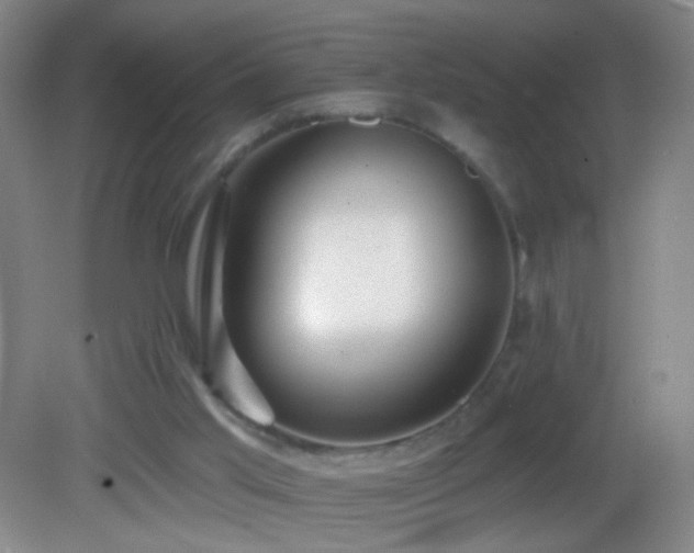 X0000082930013200702011252