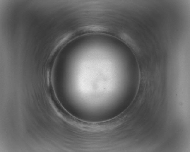 X0000082930014200702011251