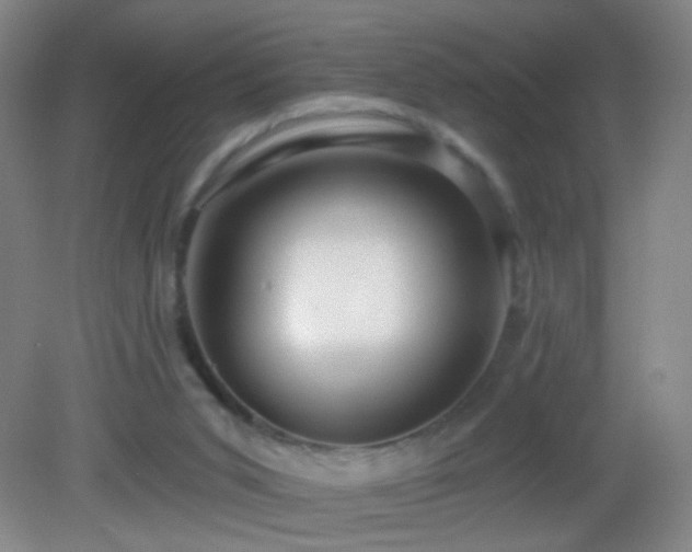 X0000082930015200702011251