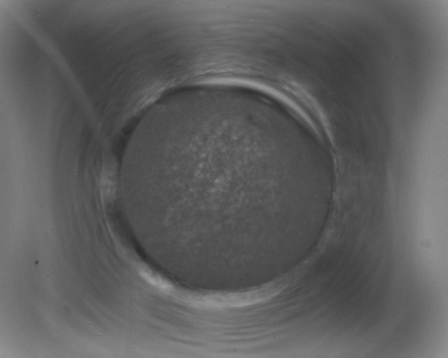 X0000082930017200702011251