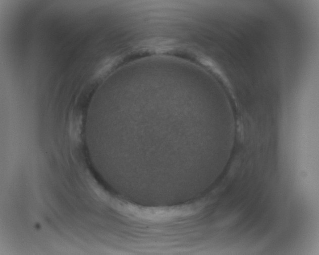 X0000082930018200702011251