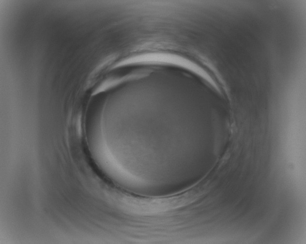 X0000082930019200702011251