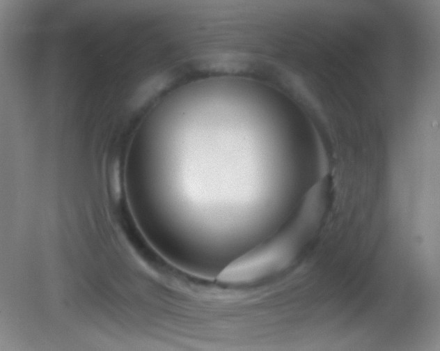 X0000082930020200702011251