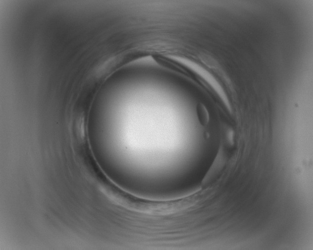 X0000082930021200702011251